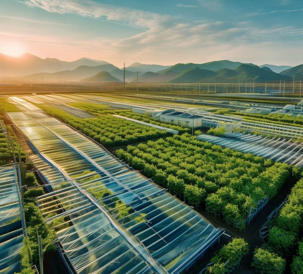 一场科技与生态的双重盛宴—黑龙江京宇农业科技开发